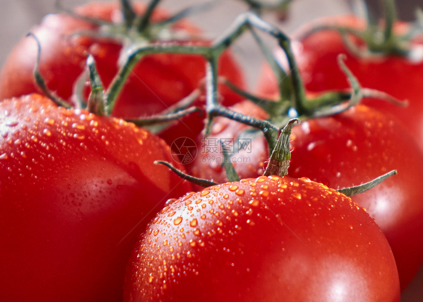 有机西红柿的宏观照片附带纯水滴子的尾巴上维生素蔬菜成熟红西柿的宏观照片附带水滴子健康蔬菜图片
