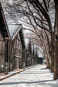 塞尔科娃古老的日本黑仓库冬季雪和树木线上的日本黑仓库沙卡塔约索科亚马塔铁矿石雅潘背景