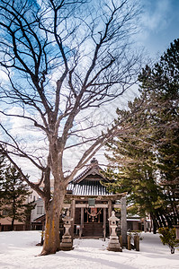 塞尔科娃寒雪中古老的日本神庙的雪地沙卡塔saktunkoys雅马塔yamgt果实雅潘yamgt果实背景