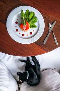 健康开胃菜蟹肉沙拉和虾罗图片