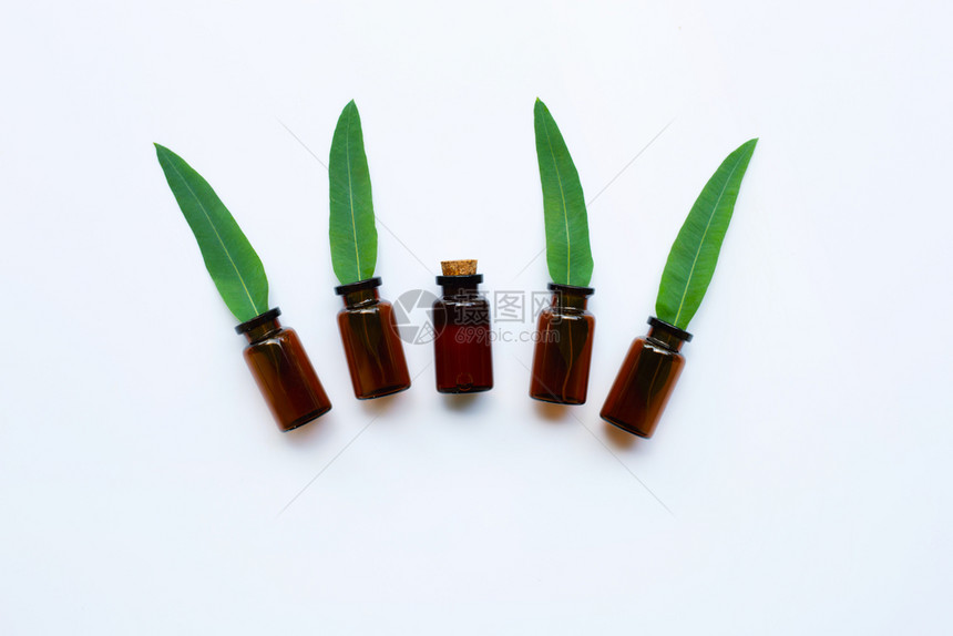 白底叶子的eucalypts油瓶最高视图图片