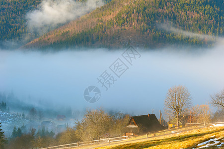 阳光明媚的清晨风景林山上有木屋覆盖着雾喀尔巴阡病乌黑图片