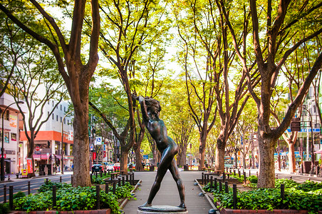 塞尔科娃芝麻树泽尔科娃女人雕塑约曾吉街Sendai日本背景