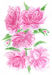 牡丹水彩画花卉成分装饰朵鲜束手画水彩图背景