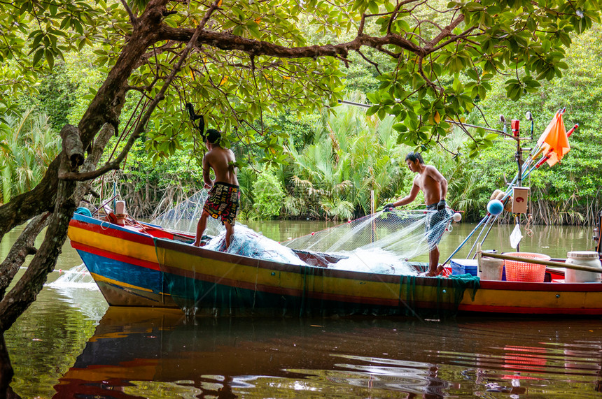 2018trahilndthi渔民在禁红树林运河的木船上从事渔网捕鱼工作图片