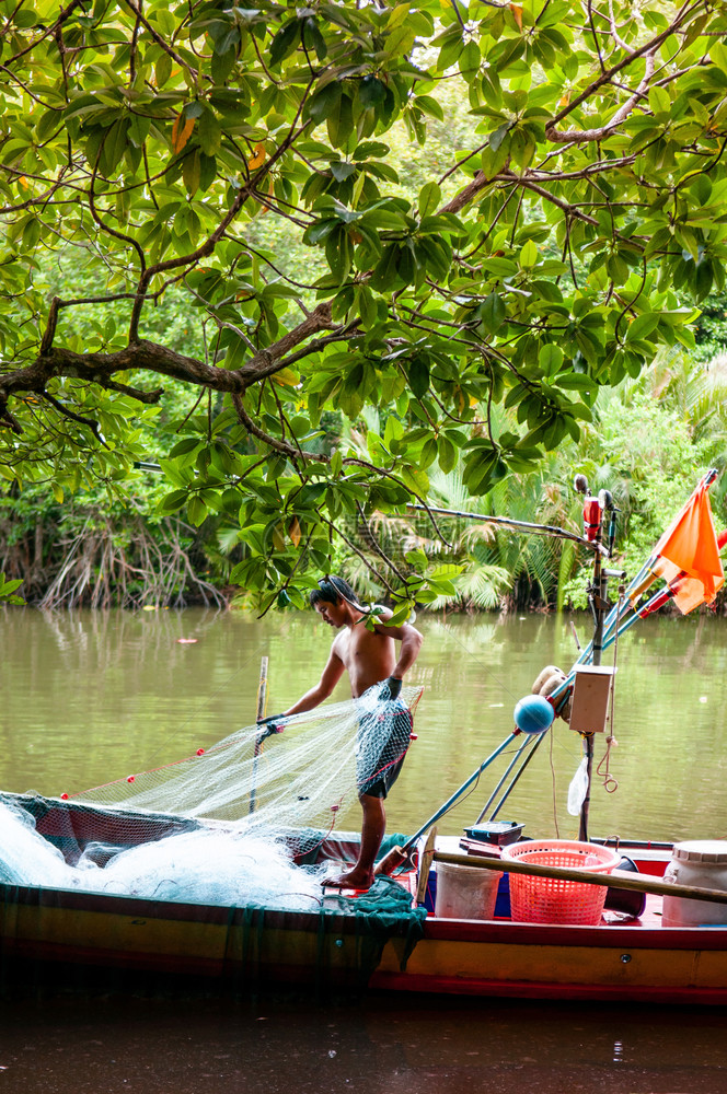2018trahilndthi渔民在禁红树林运河的木船上从事渔网捕鱼工作图片