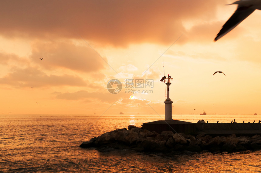 美丽的灯塔和飞行海鸥轮光图像其背景是日落图片