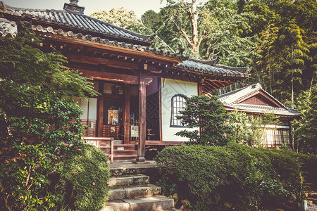 知恩日本京都寺庙花园中的奇昂建筑日本京都寺庙花园中的香椿背景
