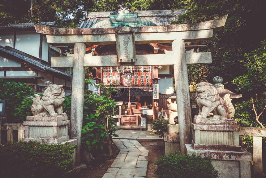 日本京都寺庙花园中的奇昂建筑日本京都寺庙花园中的香椿图片