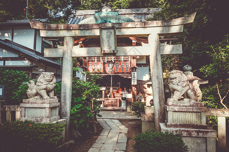 知恩日本京都寺庙花园中的奇昂建筑日本京都寺庙花园中的香椿背景