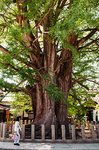 2013年5月7日塔卡山吉夫雅潘120岁位于Takym旧的青山佛教寺庙图片