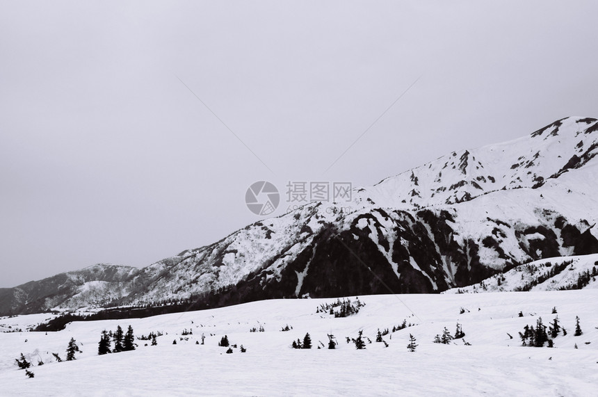 Tatemykurobe高山路线上的日本中加哈拉的异国自然景象图片