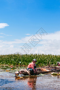 2013年月日塔隆泰国当地渔民在Talynoi自然小道切莲花图片