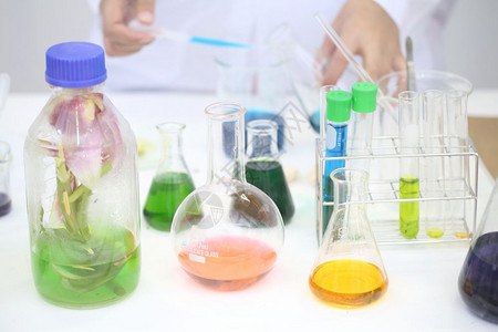 装满彩色液体的科学实验室玻璃容器图片