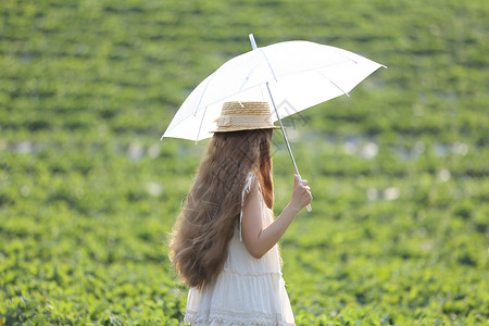 女孩在草地上打伞的背影图片