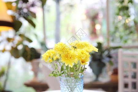 花瓶里的黄花图片