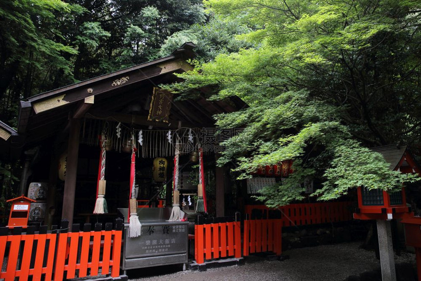 日本的寺庙有红门和京都的绿树叶图片