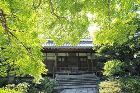 花园中的日本神庙高清图片