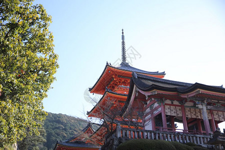 日本京都的基约米祖寺庙背景图片