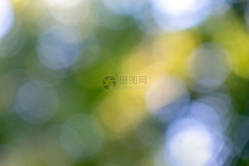树叶和蓝天空的然模糊背景以及穿孔的效果美丽创造布局绿色天然背景的浅蓝色绿和黄的bokeh圆圈模糊的叶子图片