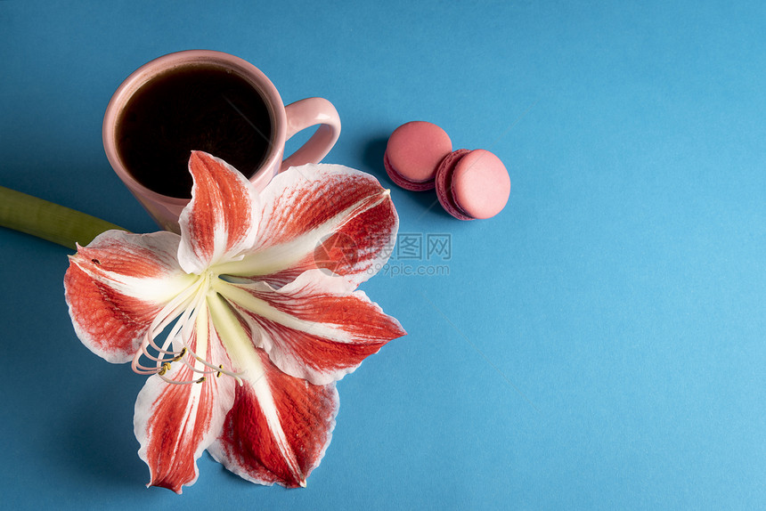 美味的马卡龙粉红咖啡杯和蓝色桌上的红白花图片