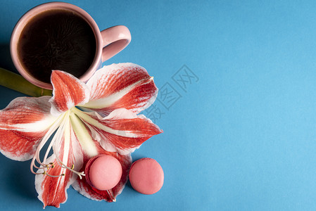 大花瓣上挂着美味的马卡龙与热咖啡杯旁带复制空间的蓝色背景背景图片