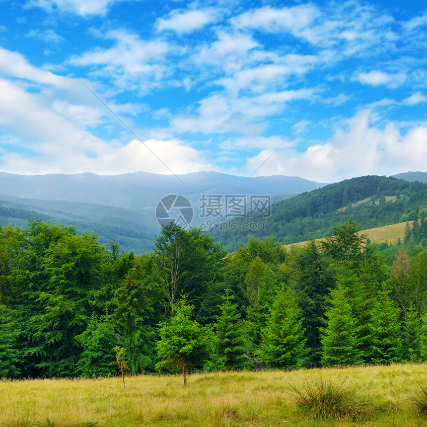 山坡隐形树和天空中的云层美景和丽的象位置是喀尔巴阡乌黑欧洲概念生态保护探索世界和美观图片