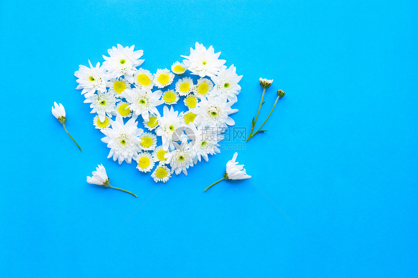 蓝纸背景上的白黄色花朵构成图片