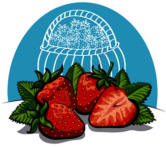 甜菊叶新鲜草莓设计图片