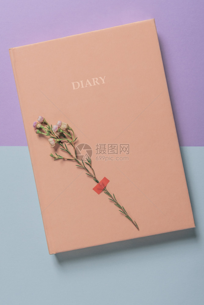 白日记和春花贴在封面上平的面图像上有一本双色背景的日记图片