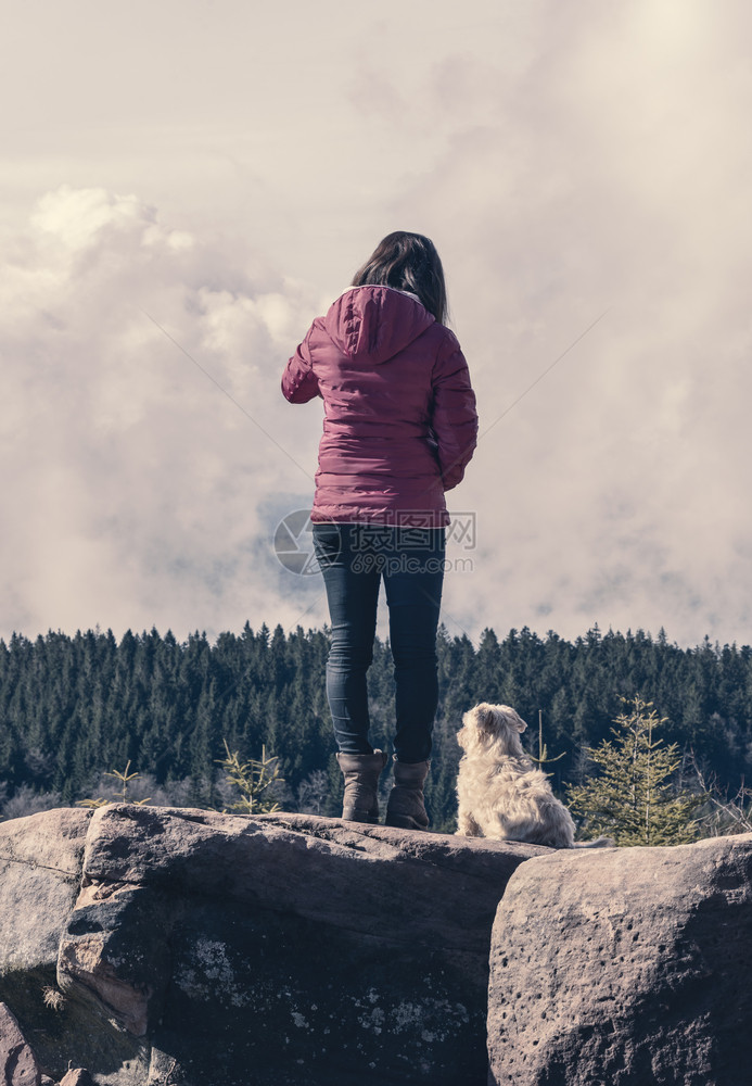 年轻女子与她的比琴阿拉伯狗并肩在山上岩石享受着在阳光明媚的春天黑森林风景图片