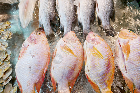 市场中的冰上鲜鱼图片