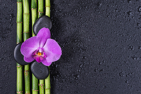 黑底竹子素材新鲜度自然高清图片