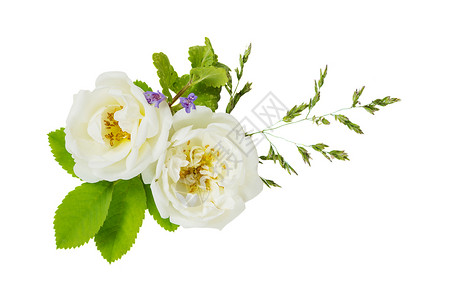白色鲜花和玫瑰绿叶的美丽小花束图片