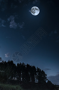 月亮和夜晚的云月光在森林中复制空间背景深蓝色图片