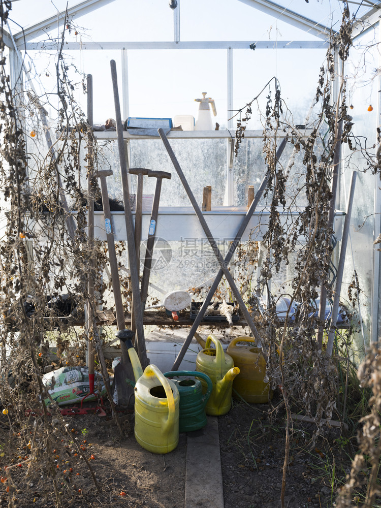 水罐和花园工具在冬季与干燥的植物一起在温室中等待图片
