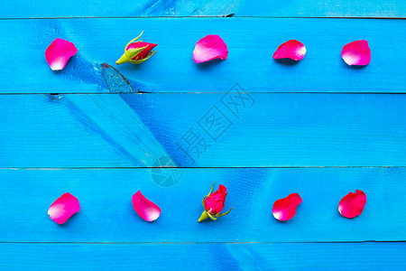 蓝木背景上的玫瑰花瓣复制空间图片
