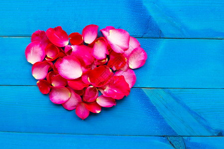 蓝木本底的玫瑰花瓣心形图片