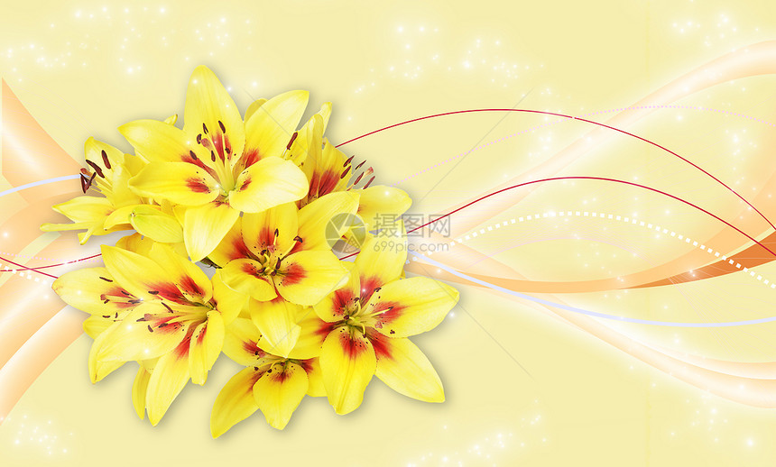 黄色百丽花束背景美丽贺卡模板图片