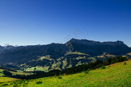 雅纳兹山谷秋天的海山草和马巴切格谷瑞士中部生物圈保护区背景