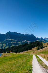 秋天的海山草和马巴切格谷瑞士中部生物圈保护区高清图片