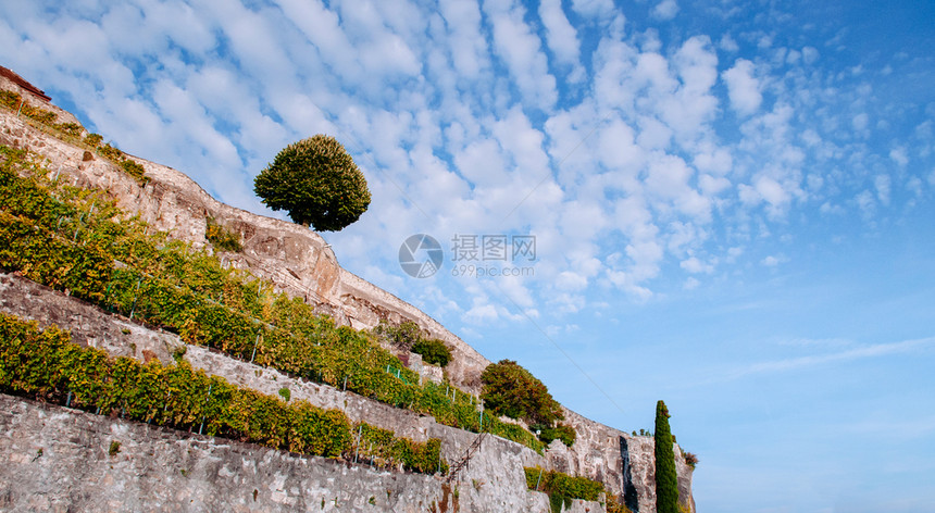 世界遗产葡萄园种植园露台在chexbrs村熔岩veyswihzerland图片