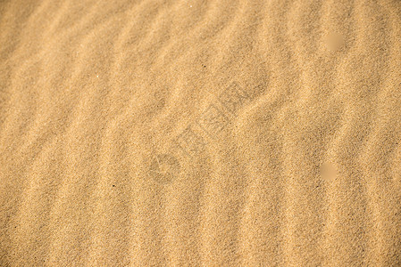 沙滩上的线状图案图片