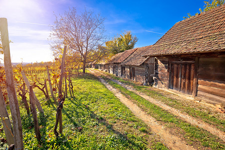 卡尔托费尔布雷古老的葡萄园和木屋Calnik地区croati的街道背景