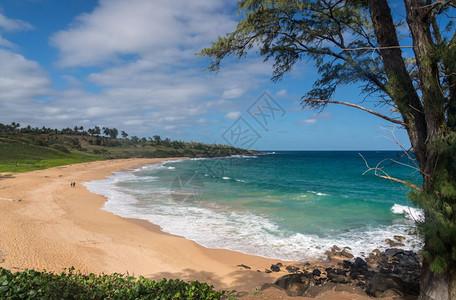 艾尔利海滩哈瓦伊省Kaui海岸的驴子或Paliku海滩背景