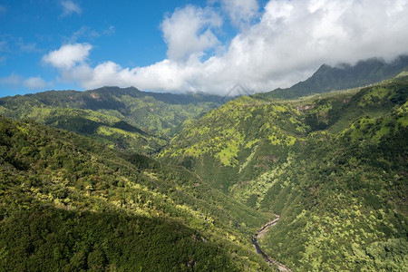 直升机飞过木林茂密的Kaui岛高清图片