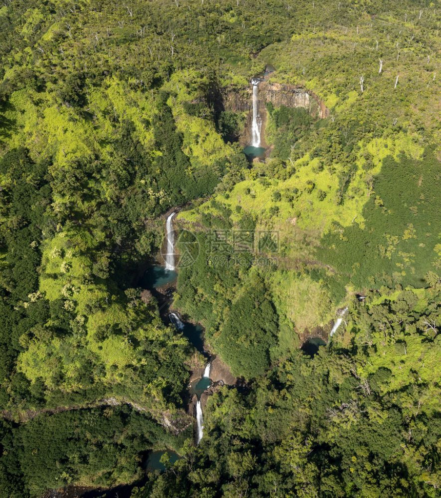 直升机飞过木林茂密的Kaui岛图片