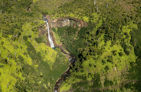 直升机飞过木林茂密的Kaui岛高清图片