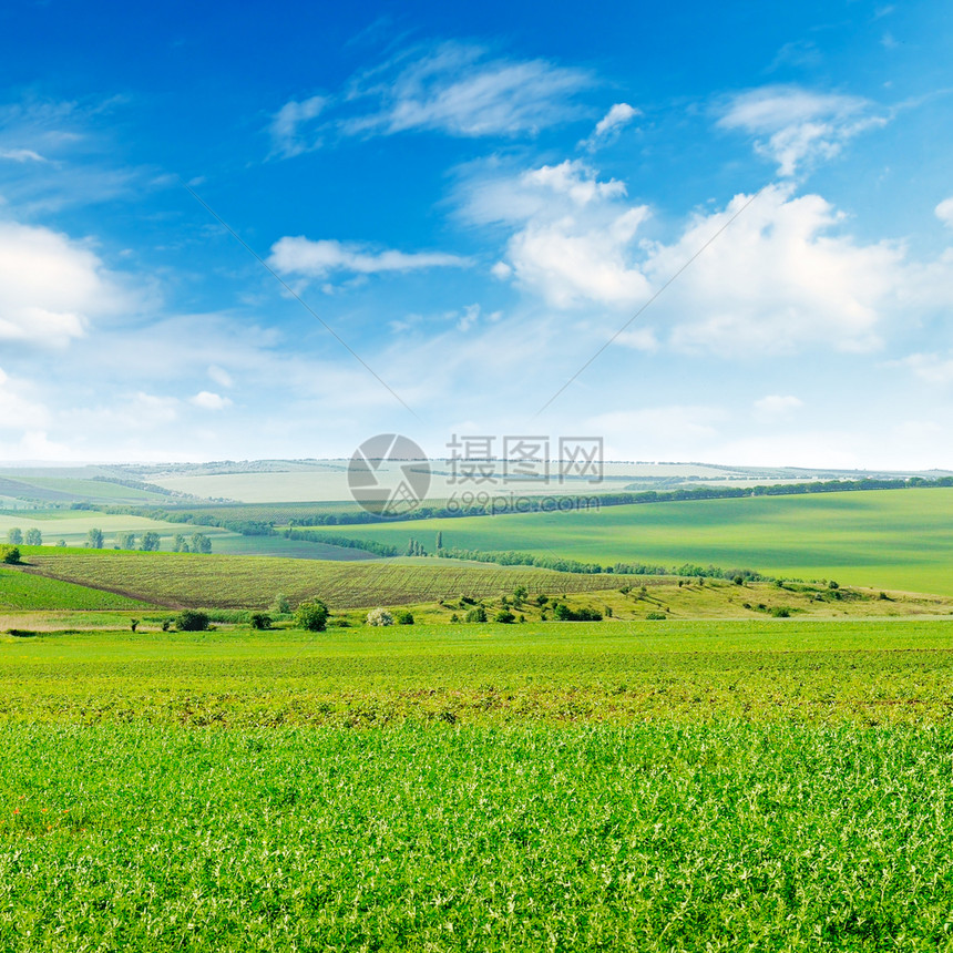 绿色地和蓝天空有光云农业景观图片