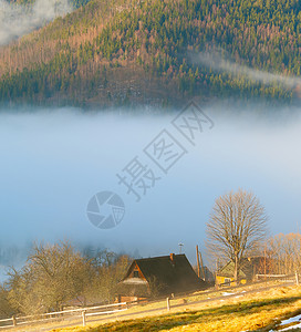 阳光明媚的清晨风景林山上有木屋覆盖着雾喀尔巴阡病乌黑图片